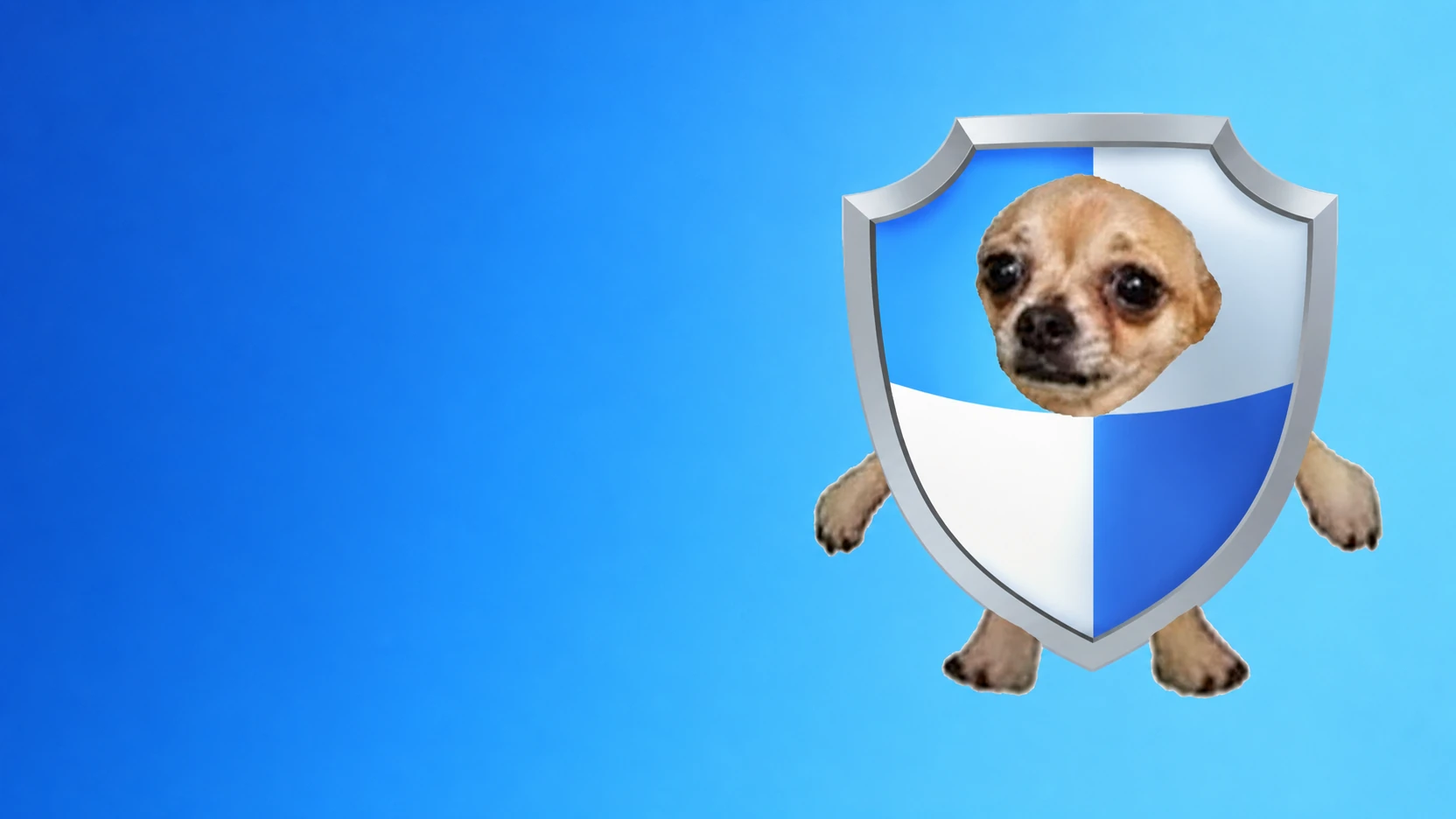 Shield Dog on duty